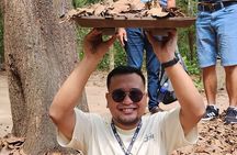 Cu Chi Tunnels and Mekong Delta Full Day Small Group Tour 