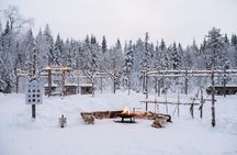 Local Husky Experience with Sled Ride and Photographer