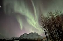 Northern Lights Basecamp Experience with Local Warm Meal