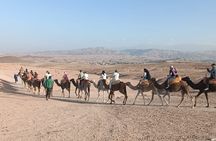 Agafay Desert Tour from Marrakech Quad Dinner and Camel Riding