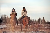 Private Icelandic Horseback Ride: Matched to Skill Level