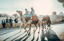 Private Half Day Tour of Cairo and Giza with Pickup