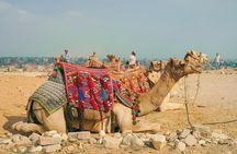Private Half Day Tour of Cairo and Giza with Pickup