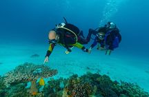 Sea Turtles Marsa Mubarak, Boat trip with Snorkeling-Marsa Alam 
