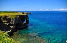 Okinawa Hip-hop Bus B - 2 Course Tour (Okinawa Churaumi Aquarium)
