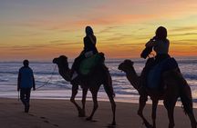 Sunset Camel Ride in Tangier with Cap Spartel & Hercules Caves