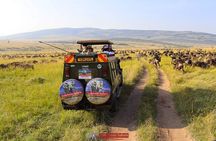 3 Day Masai Mara Daily Budget Safaris on 4x4 with No Park Fees