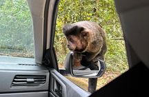 Tour DA Tijuca National Park Mirantes Waterfalls and Caves