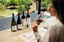 Official Concha y Toro Marques de Casa Concha Wine Experience