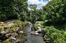 Natural Springs of Kuru Jungle Springs and Trails