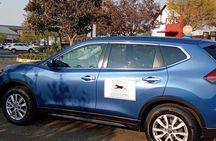 Lesedi Cultural Village Tour with Lunch or Dinner 