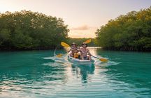 Puerto Plata: Blue Lagoon and Rio San Juan Adventure