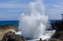 Private Customizable Curacao Beaches, Nature & Countryside Tour