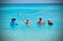 Private Customizable Curacao Beaches, Nature & Countryside Tour