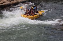 Durango ~ "Three Quarter" Day Raft Trip with Riverside Lunch