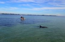 Craigcat Boat Tours Anna Maria Island 