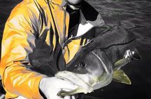 6 Hour Tarpon Springs, Florida Fishing Charter