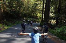 E-Bike Tour in the Avenue of the Giants Redwood Forests - 4 Hours