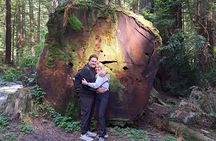 E-Bike Tour in the Avenue of the Giants Redwood Forests - 4 Hours