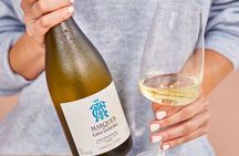 Official Concha y Toro Marques de Casa Concha Wine Experience