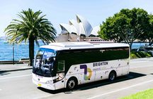 Half-Day Sydney Rocks Walking and Bondi Beach City Tour