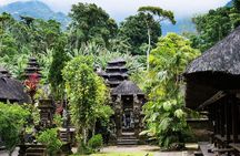 Hidden Bali Gems Sekumpul, Sacred Temples and Jatiluwih