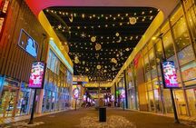 Best of Incheon Night Tour Private Experience