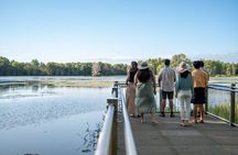 Cairns: Waterfall, Wetlands & Kuranda Scenic Rail All Inclusive 