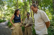 Cairns: Waterfall, Wetlands & Kuranda Scenic Rail All Inclusive 