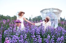 Mon Jam Flower Hills, Alpaca Cafe & Dantewada (Private Trip)