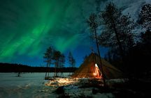 Ranua Lupland Aurora Activity Park – After Dark Adventure