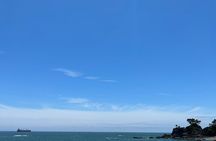 Private Kochi Shore Excursion 