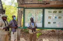 3 Days Diani Nature and Birdwatching Tour in Kenya
