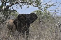 3 Days Diani Nature and Birdwatching Tour in Kenya