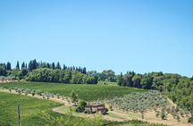 Florence Half Day Chianti Wine Tour with Tuscan Food Tastings