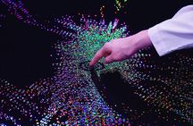 TeamLab Phenomena Abu Dhabi Ticket