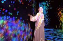 TeamLab Phenomena Abu Dhabi Ticket