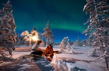 Northern Lights Hunting Expedition in Ranua, Lapland