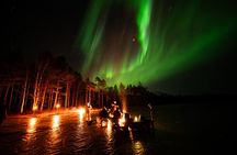 Northern Lights Hunting Expedition in Ranua, Lapland