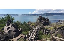 Kagoshima Cherry Blossom, Volcano & Wagyu Lunch Cruise Excursion