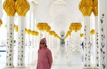 Private Abu Dhabi Half Day Aladdin Tour: Souks, Mosque, & Ferrari