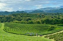 Chiang Rai: Northern Thailand Tour with Golden Triangle