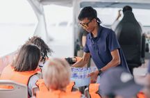 Similan Islands One day Tour All Exclusive (Transfer Khao Lak)