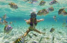 Cayo Arena: Paradise Island and Mangroves Tour Lunch