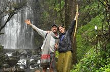 Half Day Materuni Waterfall and Coffee Tour from Moshi