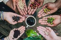 Half Day Materuni Waterfall and Coffee Tour from Moshi