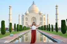 Delhi : Sunrise Taj Mahal & Elephant conservation - All Inclusive