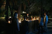 Experiencia Nocturna Casillero del Diablo + Cena