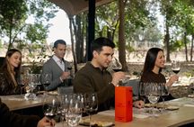 Official Concha y Toro Marques de Casa Concha Wine Experience