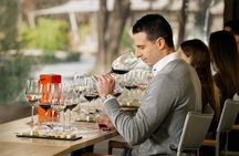 Official Concha y Toro Marques de Casa Concha Wine Experience
